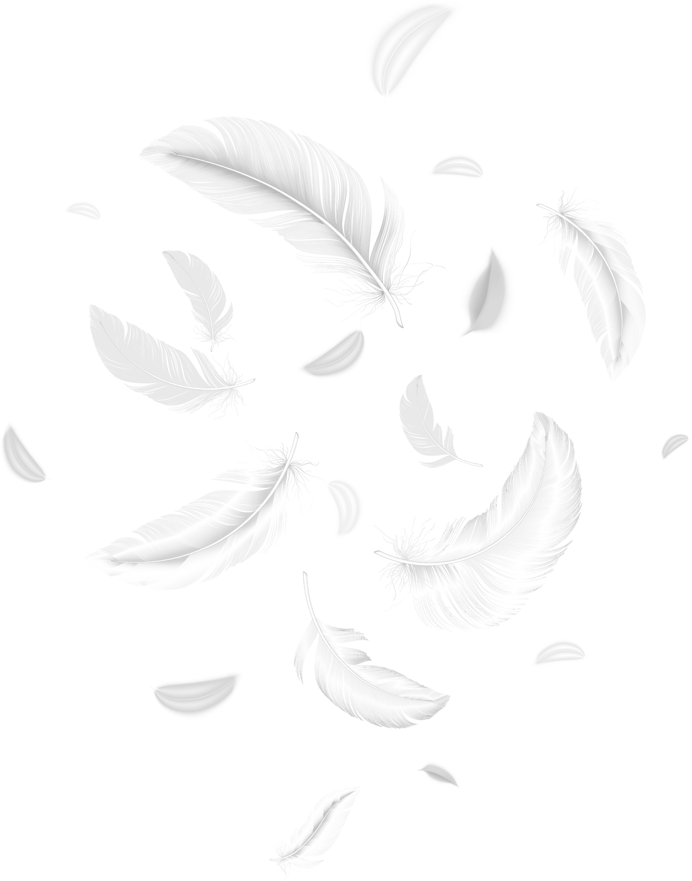 Feathers Background